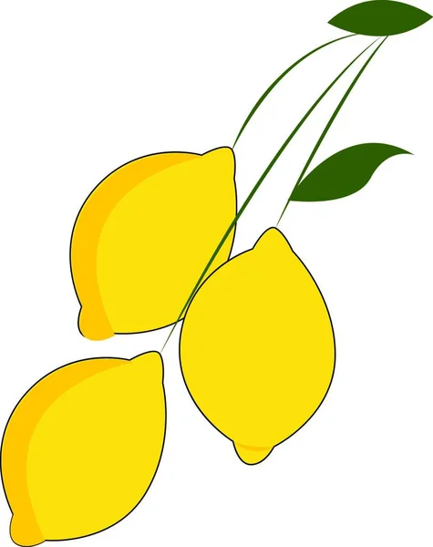 Clipart Tres Limones Color Amarillo Brillante Colgando Individualmente Tallo Largo — Vector de stock
