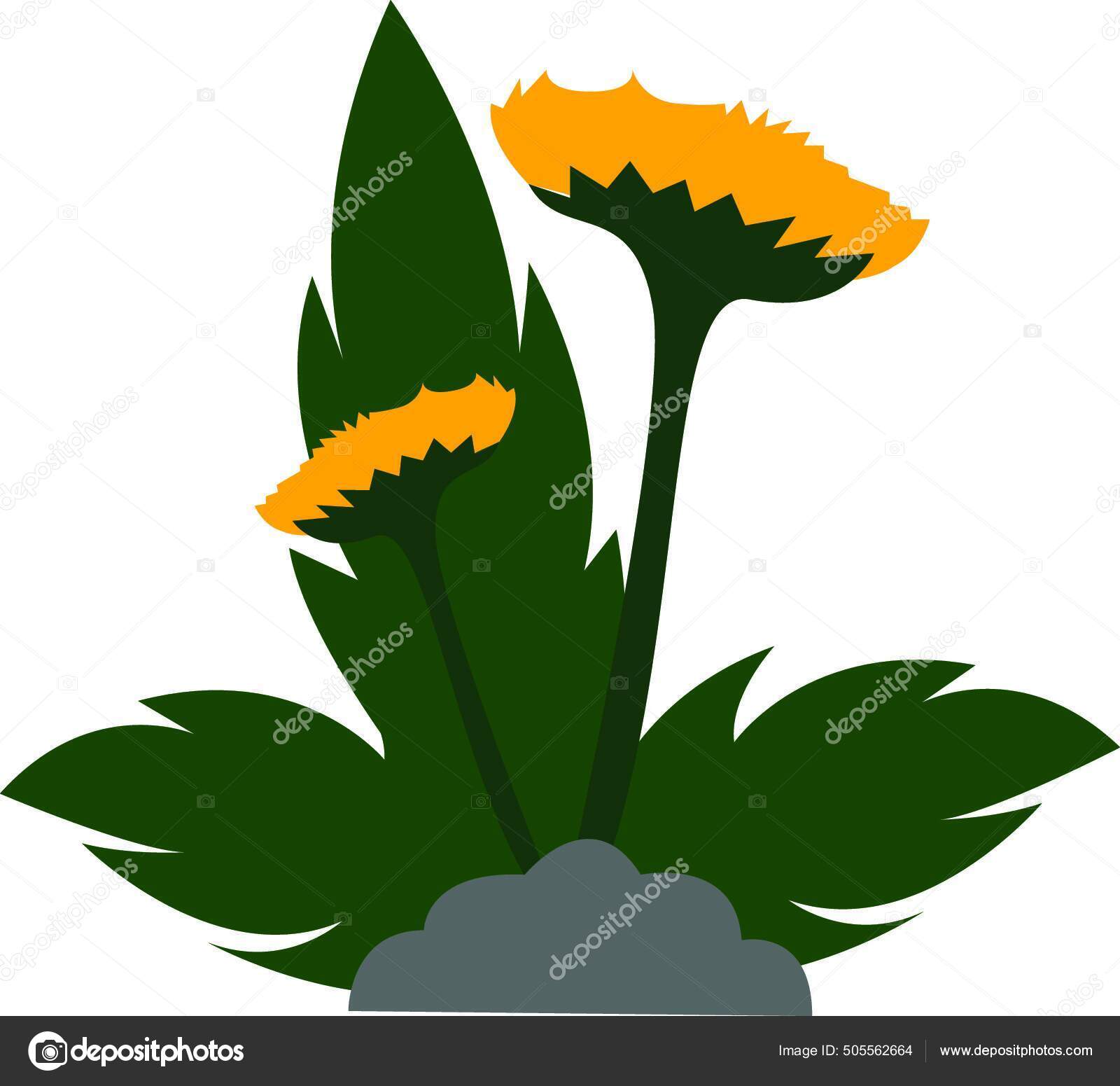 Clipart Hermosas Flores Amarillas Con Hojas Extendidas Lobulares Verdes Que vector, gráfico vectorial © PantherMediaSeller imagen #505562664 Clipart Hermosas Flores Amarillas Con Hojas Extendidas Lobulares Verdes Que vector, gráfico vectorial © PantherMediaSeller imagen #505562664