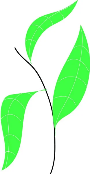 Planta Dibujado Mano Diseño Ilustración Vector Sobre Fondo Blanco — Archivo Imágenes Vectoriales