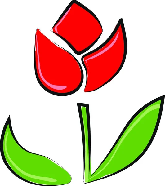 Rödfärgad Tulpanblomma Med Grön Stjälk Och Löv Vektor Färg Ritning — Stock vektor