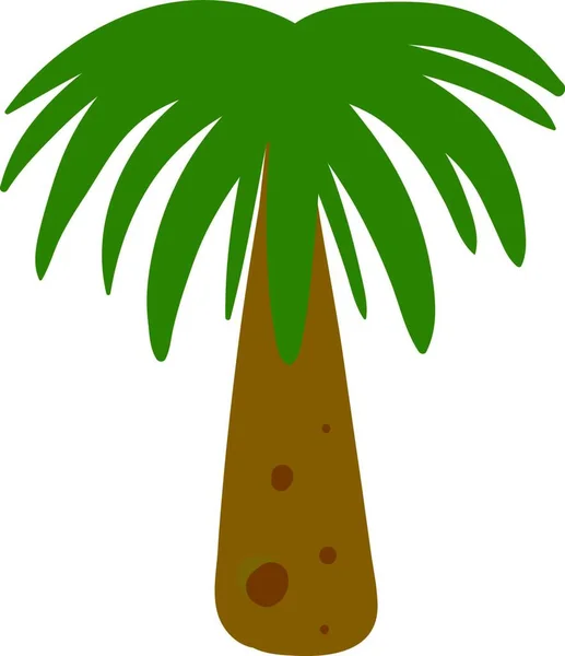Een Korte Palmboom Die Plat Gegroeid Hoogte Vorm Vector Kleur — Stockvector