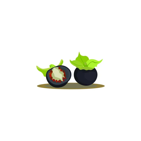 Eine Schwarze Jaltomatenfrucht Mit Einem Abgeschnittenen Teil Der Seine Samen — Stockvektor
