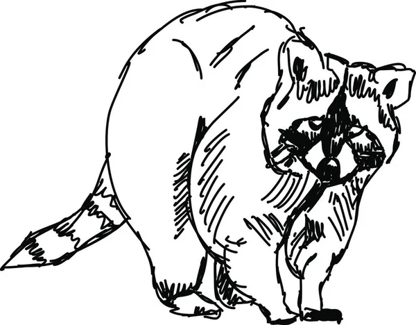 Vektorillustration Einer Katze — Stockvektor