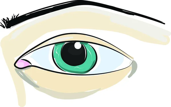Крупный План Иллюстрации Голубого Глаза Брови Вектора Цветного Рисунка Иллюстрации — стоковый вектор