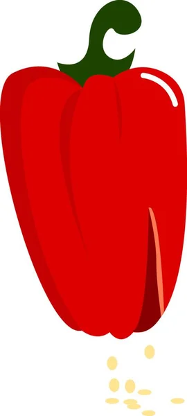 Czerwona Papryka Ilustracja Wektor Białym Tle — Wektor stockowy