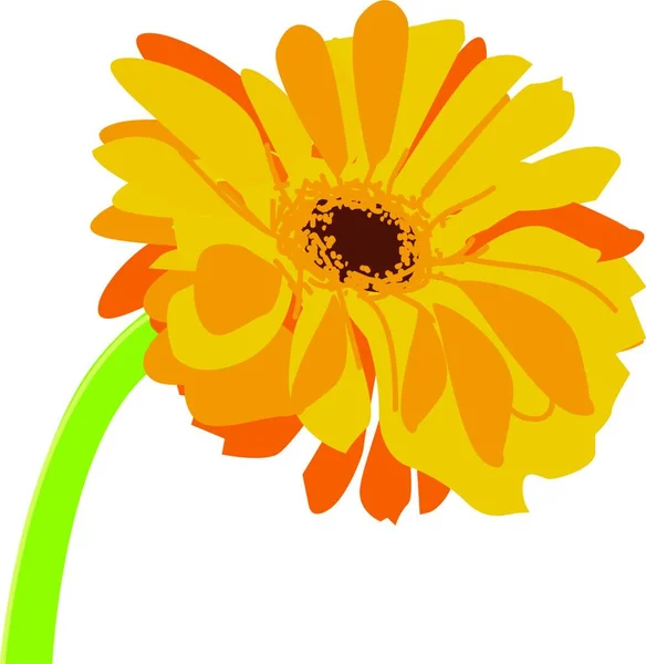 黄色とオレンジの花びら ベクトル カラードローイングまたはイラストを持つデイジーの絵 — ストックベクタ