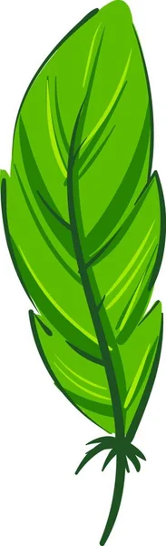 Una Hermosa Pluma Larga Verde Con Tallo Vector Dibujo Color — Archivo Imágenes Vectoriales