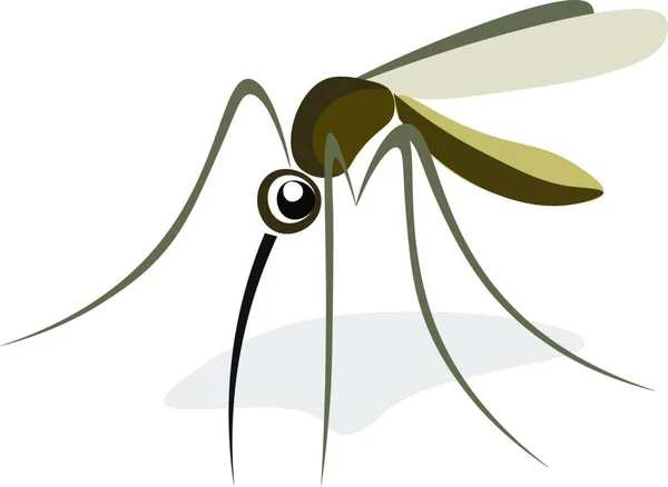 Illustration Einer Libelle — Stockvektor