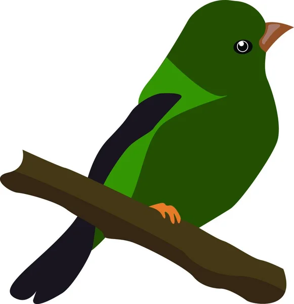 Abbildung Eines Vogels Auf Weißem Hintergrund — Stockvektor