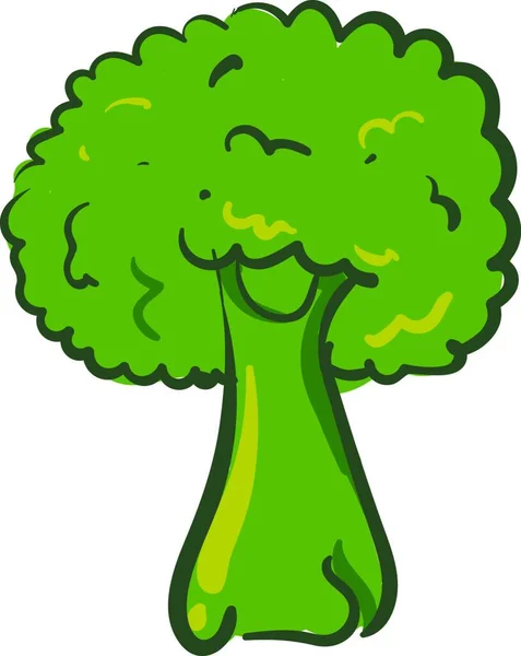 Brócoli Verde Con Tallo Comida Sabrosa Saludable Vector Dibujo Color — Vector de stock
