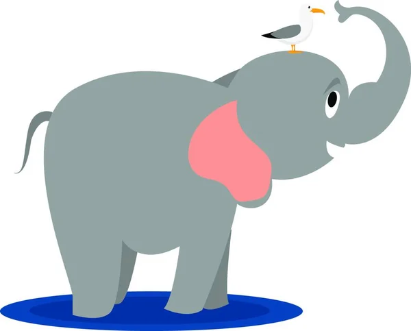 Gull Elephant Illustration Vector White Background — Stock Vector