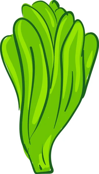 葉っぱが多い緑色のロングレタス サラダ 健康的でおいしい ベクトル カラードローイングやイラストとして食べられる — ストックベクタ