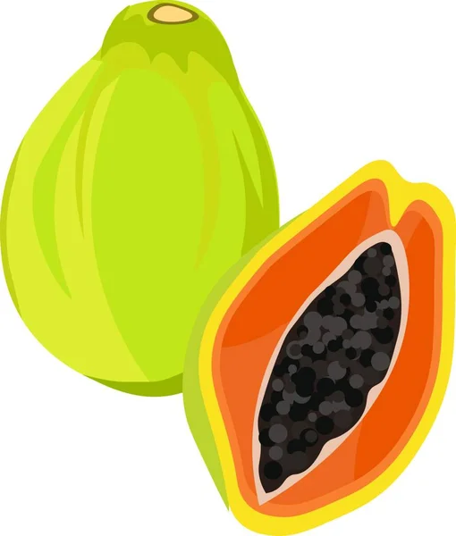 Ilustración Vectorial Una Papaya Púrpura Verde — Archivo Imágenes Vectoriales