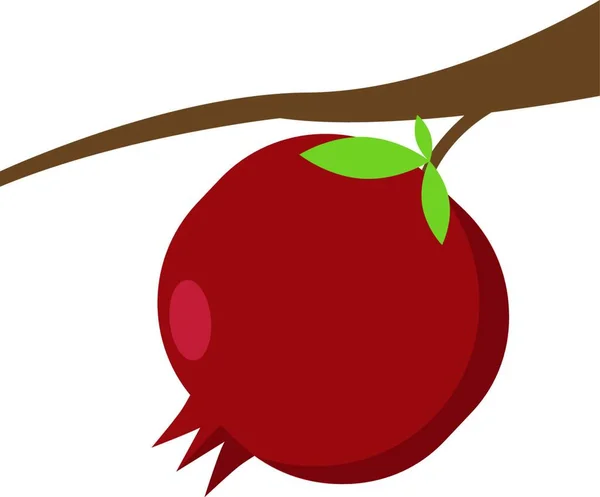赤いリンゴのベクトル図 — ストックベクタ