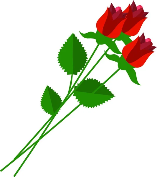 Ramo Rosas Rojas Con Hermosas Hojas Verdes Tallo Delgado Delgado — Vector de stock