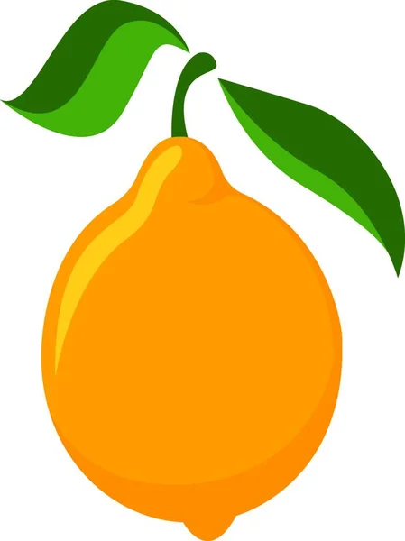 Illustrazione Vettore Icona Mango — Vettoriale Stock