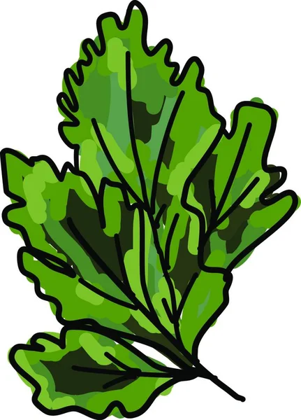 Vektorillustration Einer Grün Weißen Zeichnung Eines Blattes — Stockvektor