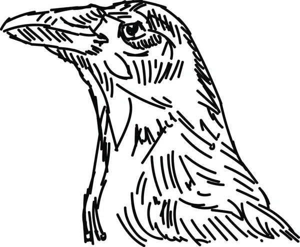 Vogel Tekenen Illustratie Vector Witte Achtergrond — Stockvector