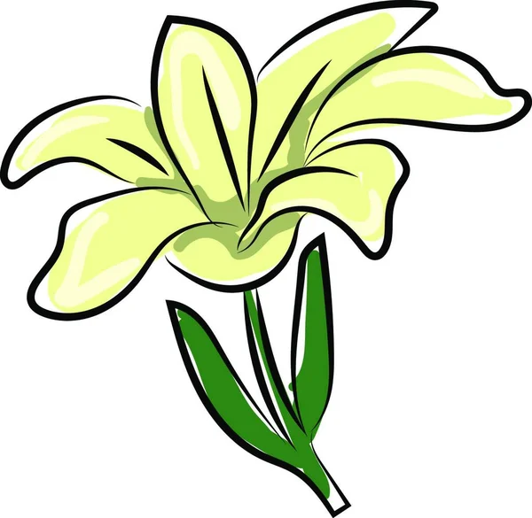 Vector Illustration Beautiful Flower — Stock Vector