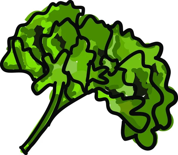 Brócoli Icono Web Ilustración Simple — Archivo Imágenes Vectoriales