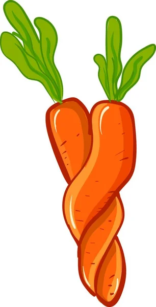 Апельсиновая Морковь Скрученная Вместе Вектор Цветной Рисунок Иллюстрация — стоковый вектор