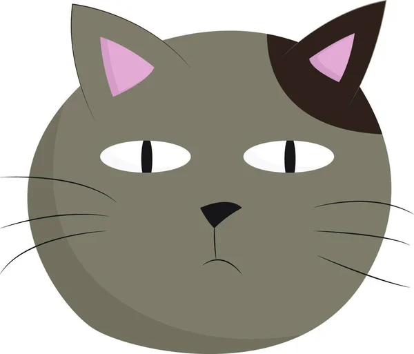 灰色の猫 ベクトル カラードローイングまたはイラスト — ストックベクタ
