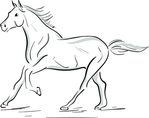 Eine Silhouette Eines Laufenden Pferdes Grau Vektor Farbzeichnung Oder Illustration — Stockvektor