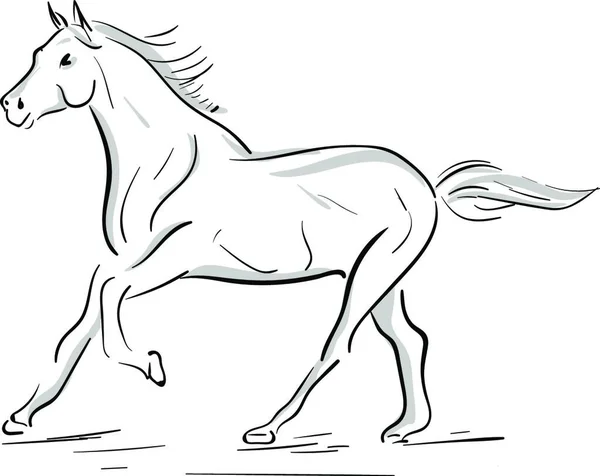 Una Silueta Caballo Corriendo Gris Vector Dibujo Color Ilustración — Vector de stock