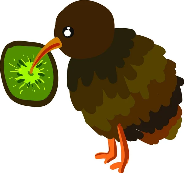 Brown Kiwi Bird Eating Kiwi Fruit Vector Color Drawing Illustration — Stock Vector