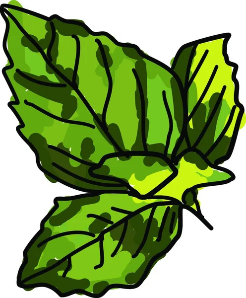 Vector Illustration Green Leaf — Stock Vector