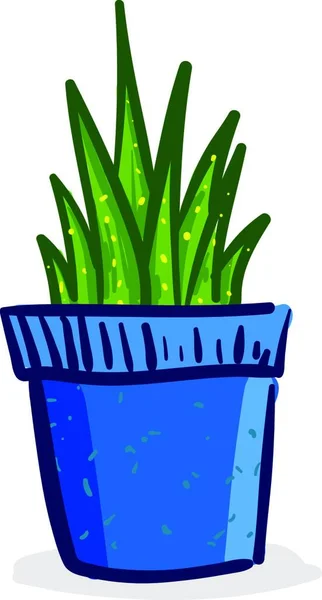 Plante Vert Foncé Pot Bleu Vecteur Dessin Couleur Illustration — Image vectorielle