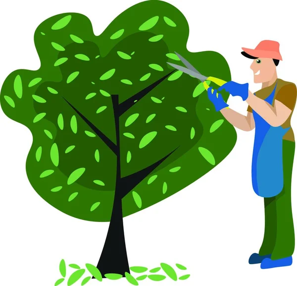 Jardineiro Aparando Uma Árvore Ilustração Vetor Fundo Branco — Vetor de Stock