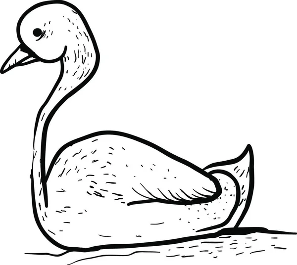Рисунок Лебедя Иллюстрация Вектор Белом Фоне — стоковый вектор