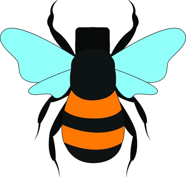 Duży Dziki Pszczoła Ilustracja Wektor Białym Tle — Wektor stockowy