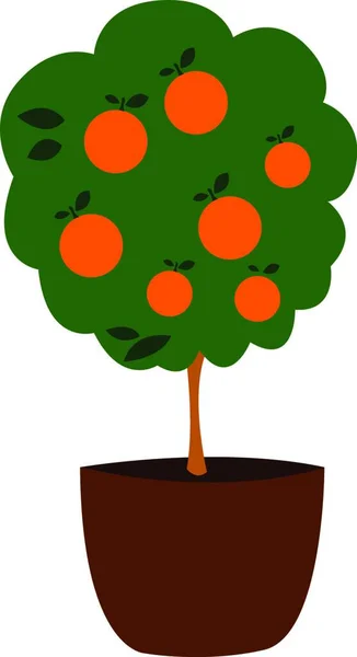 Arbre Orange Pot Illustration Vecteur Sur Fond Blanc — Image vectorielle