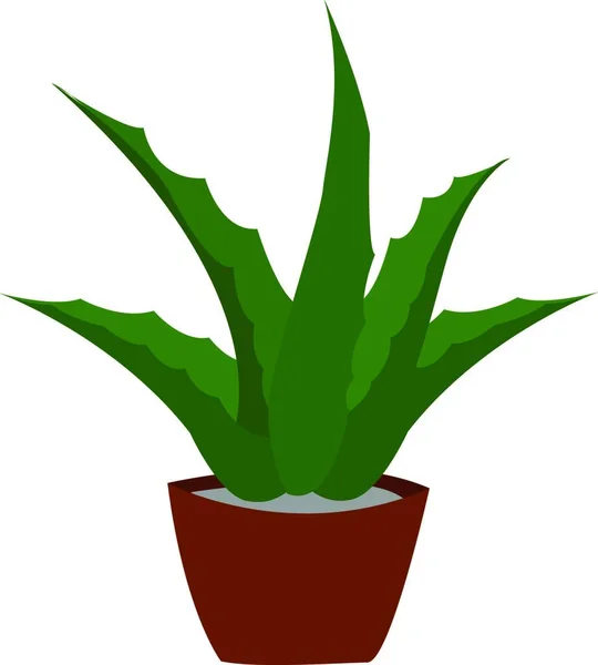 Aloe Vera Planta Icono Vector Ilustración Diseño Gráfico — Vector de stock