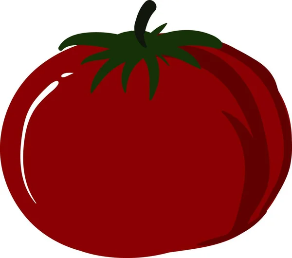 Tomate Rojo Sano Ilustración Vector Sobre Fondo Blanco — Vector de stock