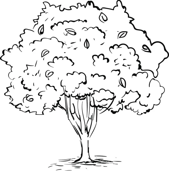 Векторна Ілюстрація Дерева — стоковий вектор