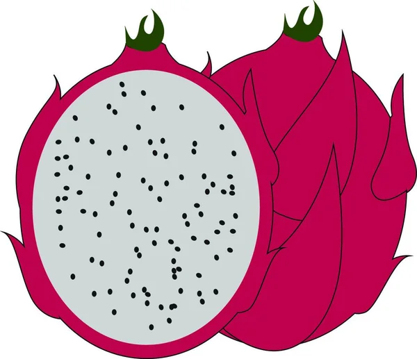 Röd Pitahaya Illustration Vektor Vit Bakgrund — Stock vektor