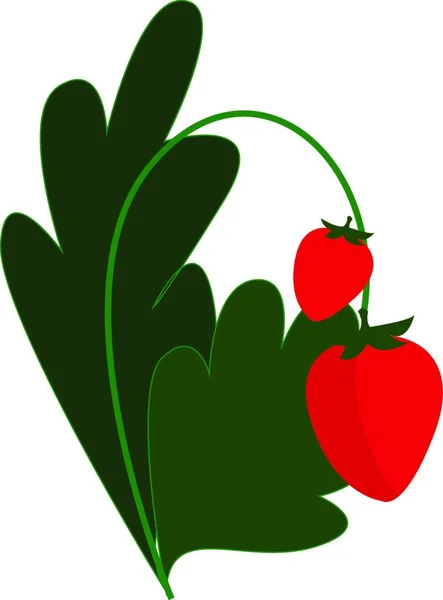 Vektor Illustration Ett Rött Och Grönt Äpple — Stock vektor
