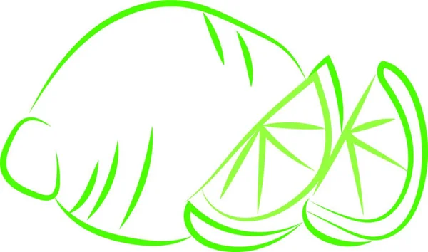 Zelený Vápenný Výkres Ilustrace Vektor Bílém Pozadí — Stockový vektor