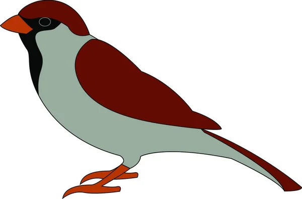 Little Red Sparrow Illustration Vektor Vit Bakgrund — Stock vektor