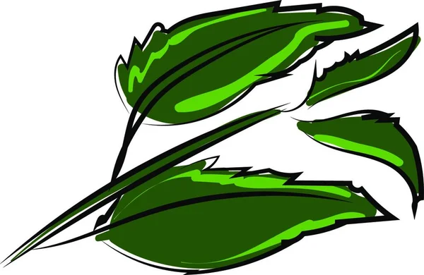 Groene Bladeren Van Een Plant — Stockvector
