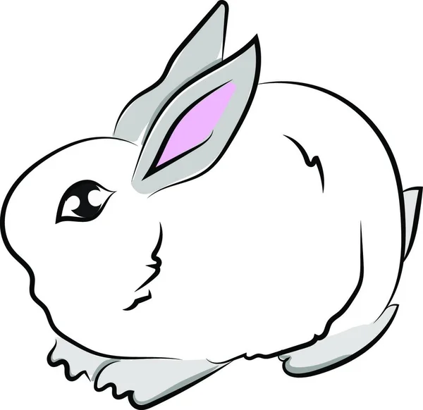 かわいいウサギ イラスト 白い背景のベクトル — ストックベクタ