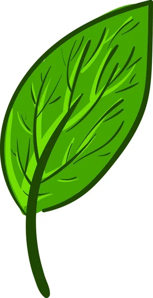 Green Tree Vector Illustration — Stock Vector