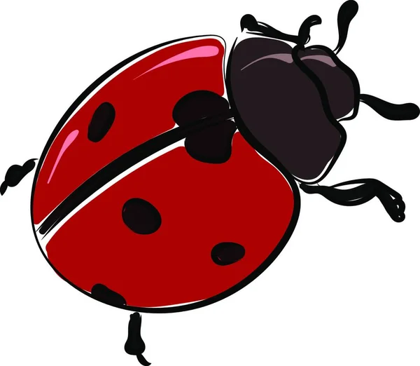 Coccinelle Pois Rouges Sur Fond Blanc — Image vectorielle