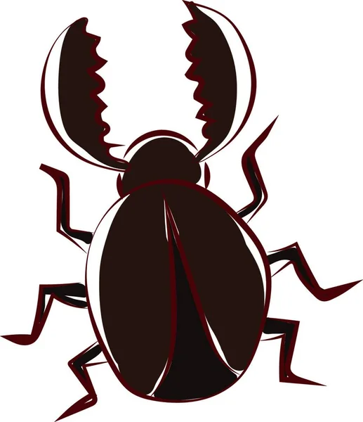 Brauner Käfer Illustration Vektor Auf Weißem Hintergrund — Stockvektor