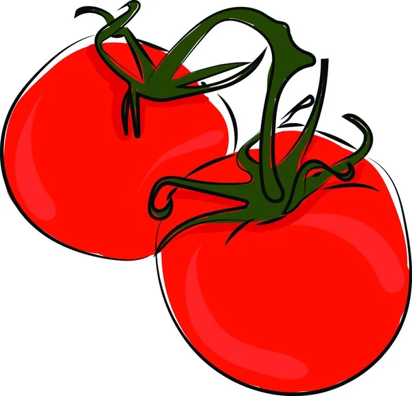 Vector Illustration Tomato Red — Stock Vector