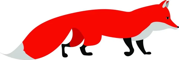 Vektorillustration Eines Rot Weißen Fuchses — Stockvektor