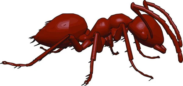 Red Ant Illustratie Vector Witte Achtergrond — Stockvector